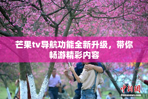 芒果tv导航功能全新升级，带你畅游精彩内容