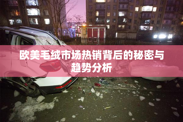 欧美毛绒市场热销背后的秘密与趋势分析