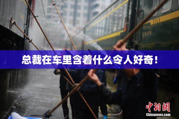 总裁在车里含着什么令人好奇！