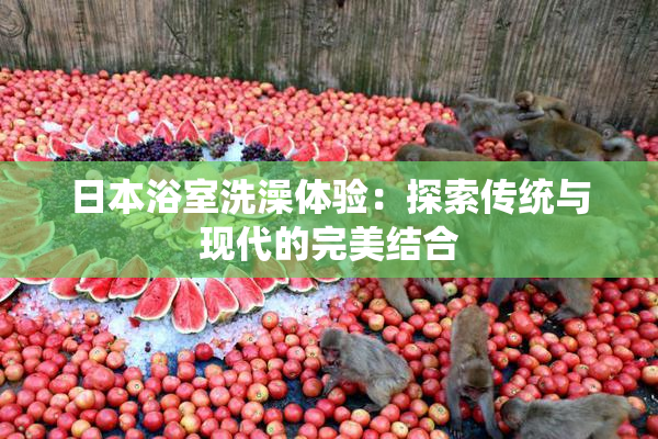日本浴室洗澡体验：探索传统与现代的完美结合