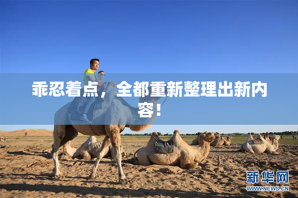乖忍着点，全都重新整理出新内容！