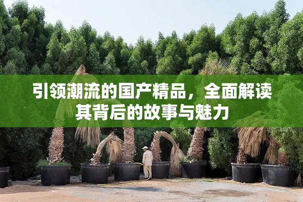 引领潮流的国产精品，全面解读其背后的故事与魅力