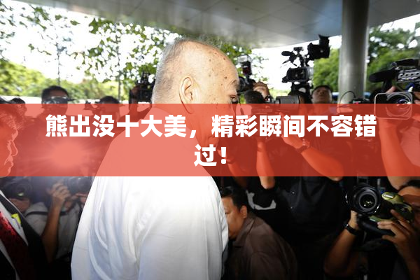 熊出没十大美，精彩瞬间不容错过！