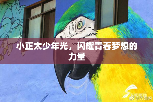 小正太少年光，闪耀青春梦想的力量