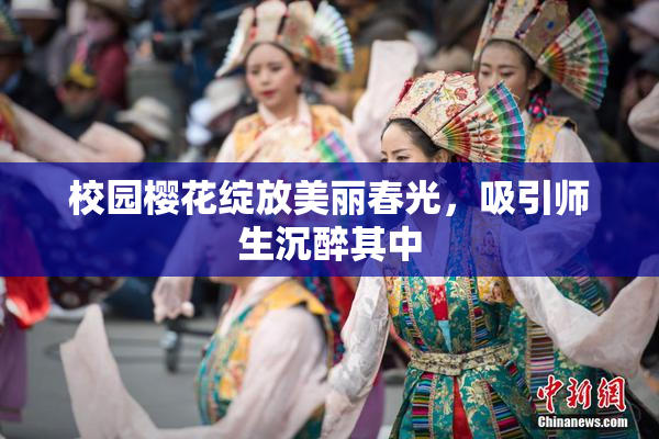 校园樱花绽放美丽春光，吸引师生沉醉其中