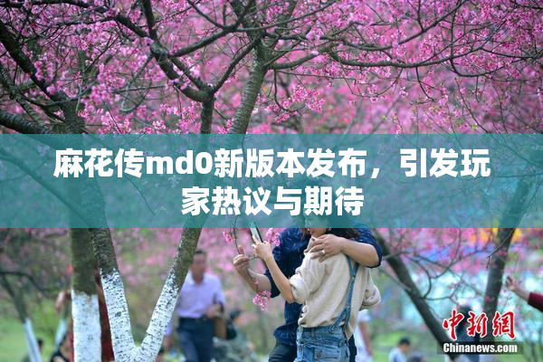 麻花传md0新版本发布，引发玩家热议与期待