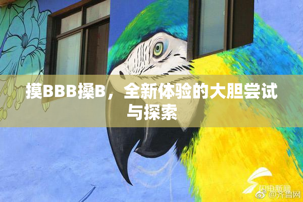 摸BBB搡B，全新体验的大胆尝试与探索