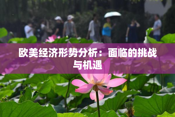 欧美经济形势分析：面临的挑战与机遇