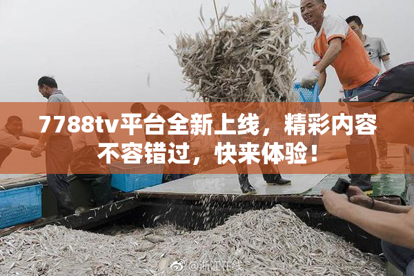7788tv平台全新上线，精彩内容不容错过，快来体验！