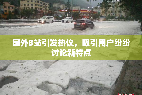 国外B站引发热议，吸引用户纷纷讨论新特点