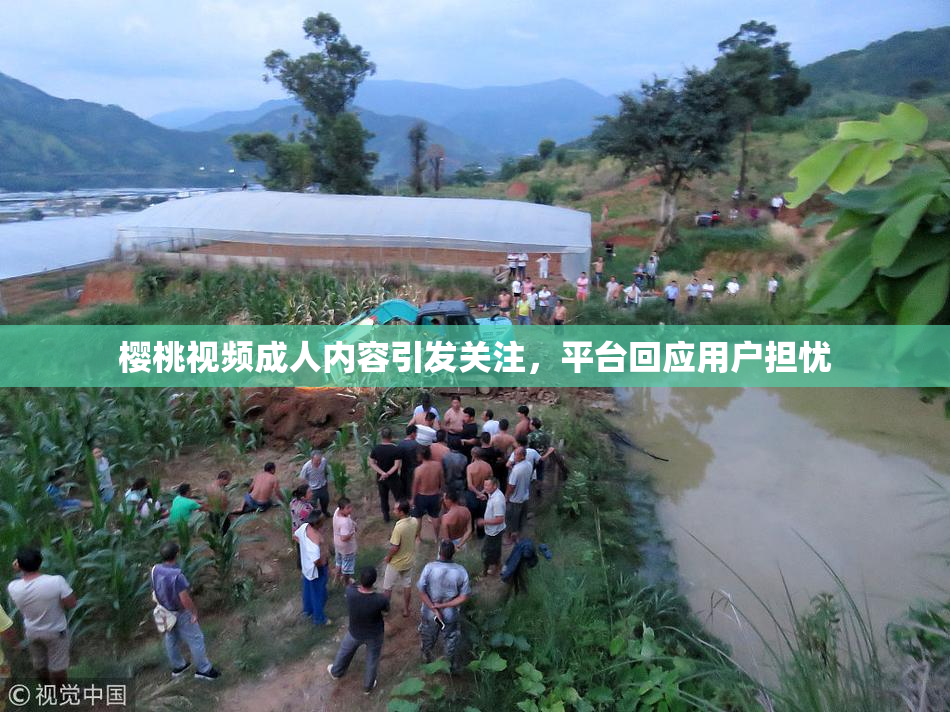 樱桃视频成人内容引发关注，平台回应用户担忧