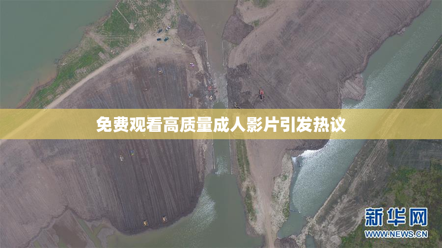 免费观看高质量成人影片引发热议