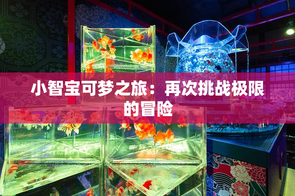 小智宝可梦之旅：再次挑战极限的冒险