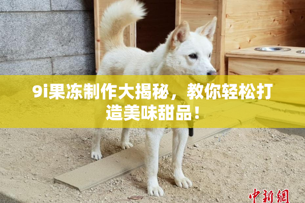 9i果冻制作大揭秘，教你轻松打造美味甜品！