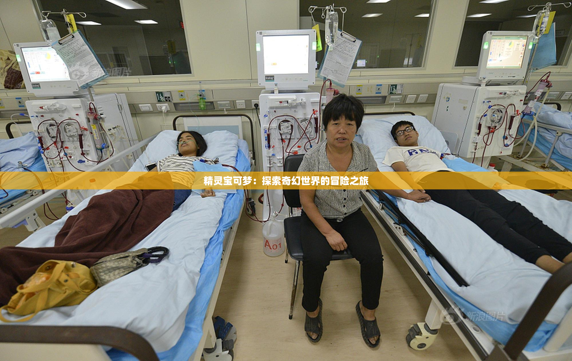 精灵宝可梦：探索奇幻世界的冒险之旅