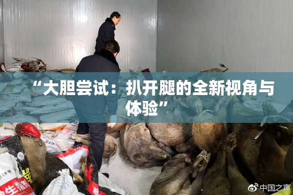 “大胆尝试：扒开腿的全新视角与体验”
