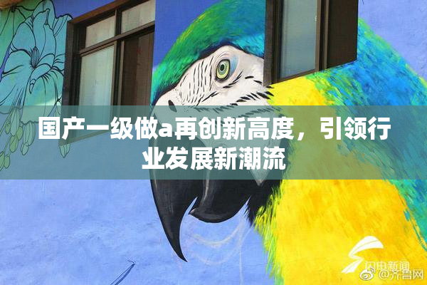 国产一级做a再创新高度，引领行业发展新潮流