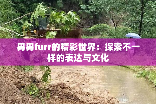 男男furr的精彩世界：探索不一样的表达与文化