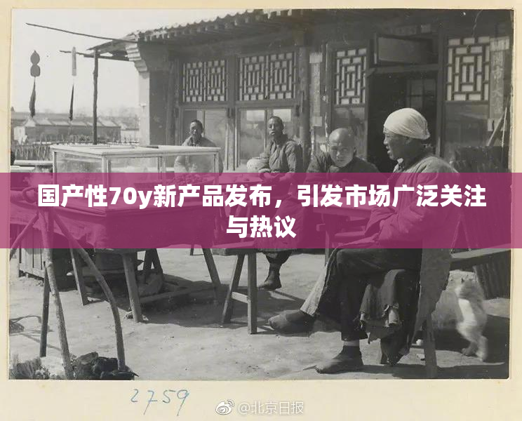 国产性70y新产品发布，引发市场广泛关注与热议
