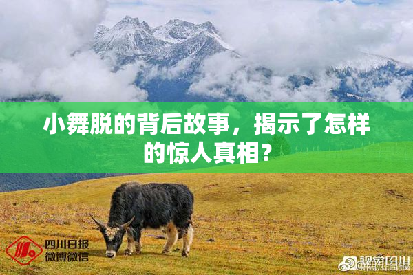 小舞脱的背后故事，揭示了怎样的惊人真相？