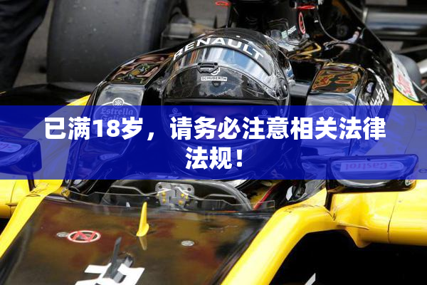 已满18岁，请务必注意相关法律法规！