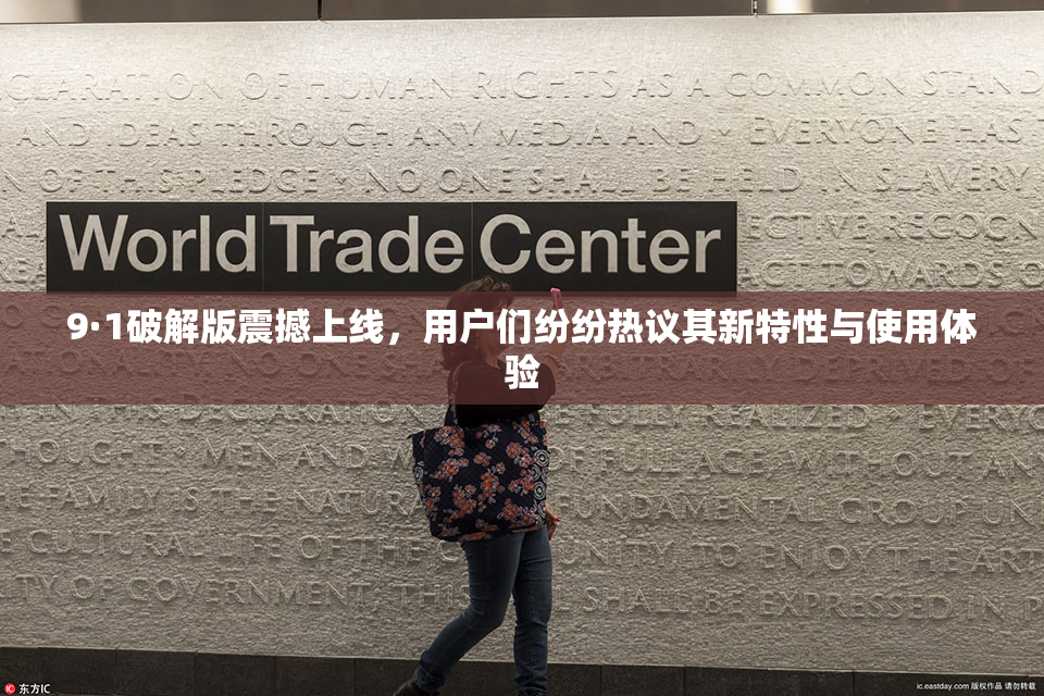 9·1破解版震撼上线，用户们纷纷热议其新特性与使用体验