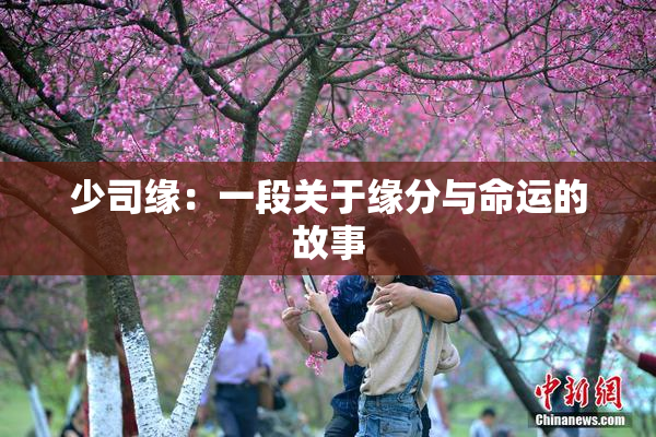 少司缘：一段关于缘分与命运的故事