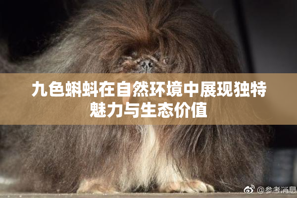 九色蝌蚪在自然环境中展现独特魅力与生态价值