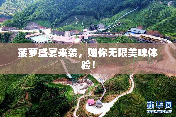 菠萝盛宴来袭，赠你无限美味体验！