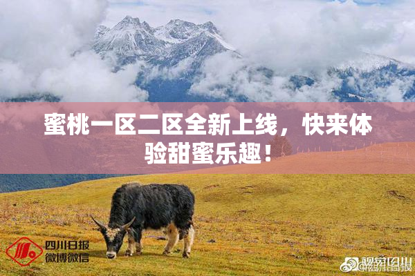 蜜桃一区二区全新上线，快来体验甜蜜乐趣！