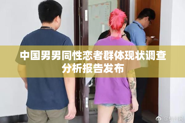 中国男男同性恋者群体现状调查分析报告发布