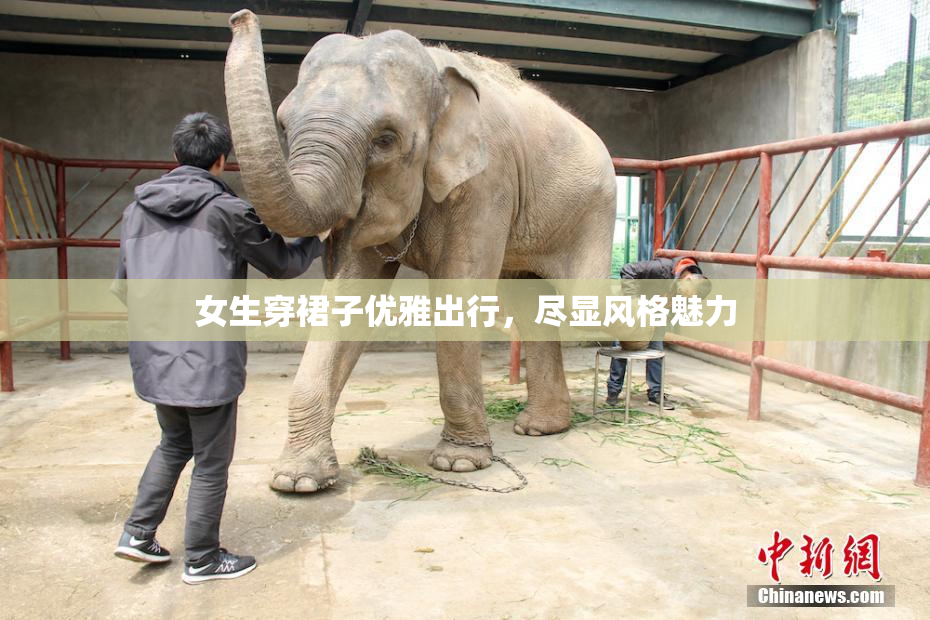 女生穿裙子优雅出行，尽显风格魅力