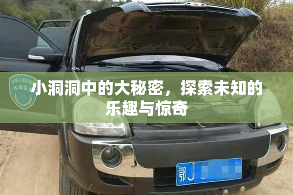 小洞洞中的大秘密，探索未知的乐趣与惊奇