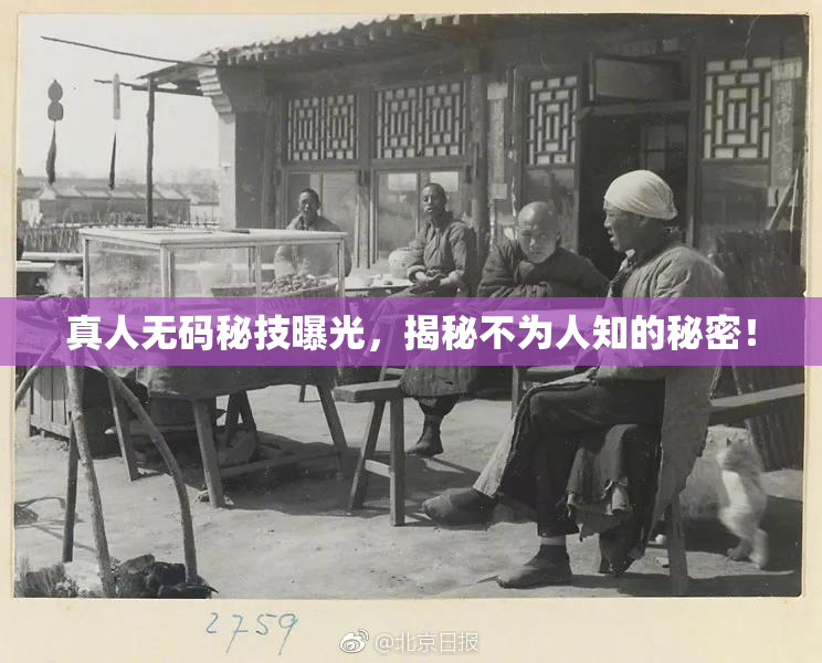 真人无码秘技曝光，揭秘不为人知的秘密！