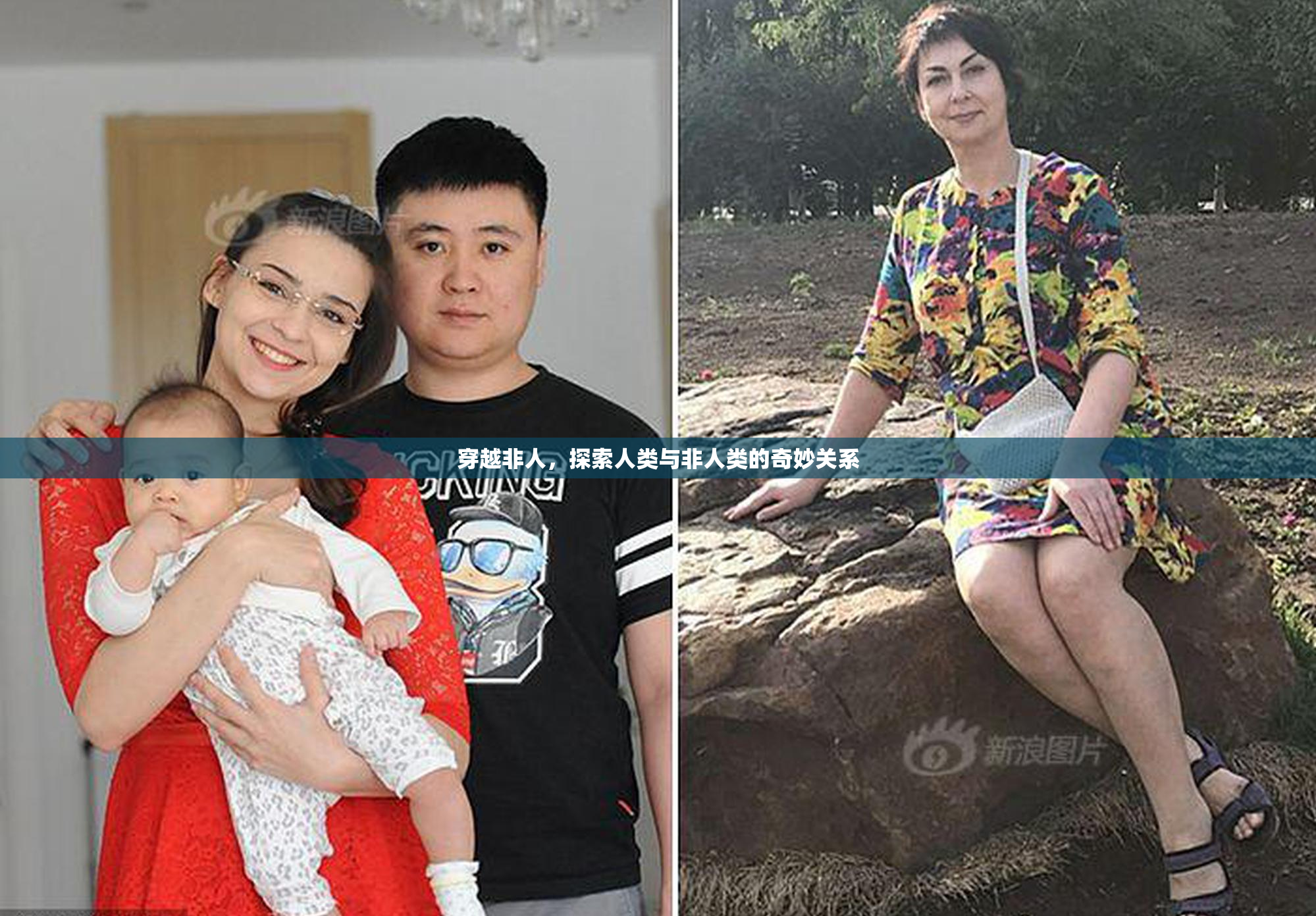 穿越非人，探索人类与非人类的奇妙关系