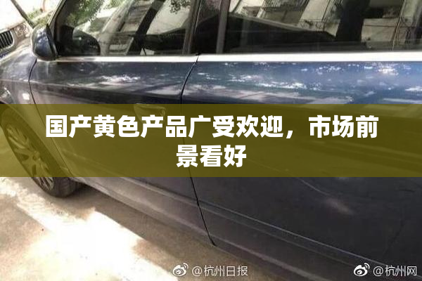 国产黄色产品广受欢迎，市场前景看好