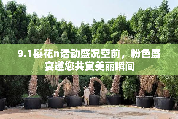 9.1樱花n活动盛况空前，粉色盛宴邀您共赏美丽瞬间