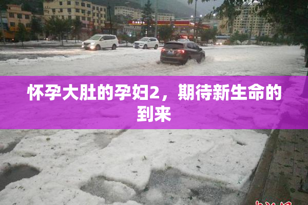 怀孕大肚的孕妇2，期待新生命的到来