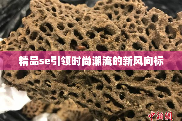 精品se引领时尚潮流的新风向标