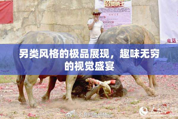 另类风格的极品展现，趣味无穷的视觉盛宴
