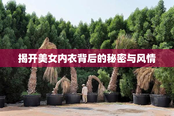 揭开美女内衣背后的秘密与风情
