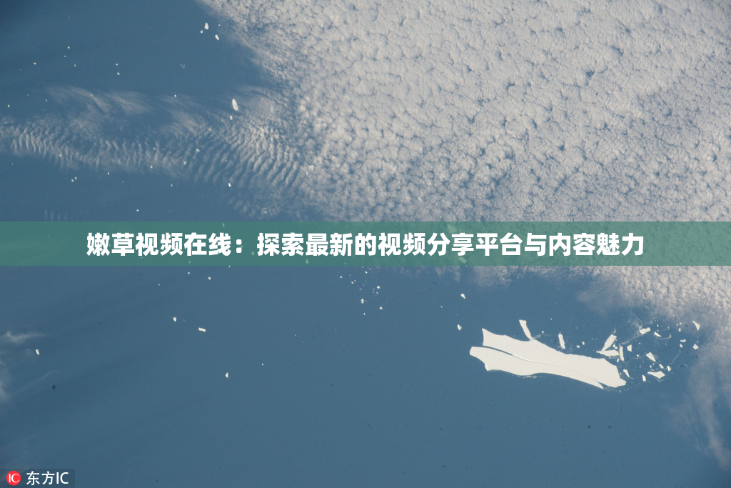 嫩草视频在线：探索最新的视频分享平台与内容魅力