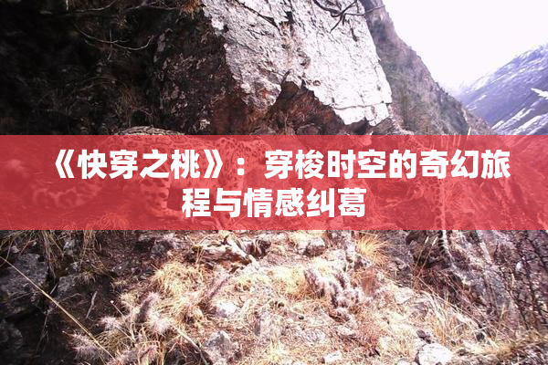 《快穿之桃》：穿梭时空的奇幻旅程与情感纠葛