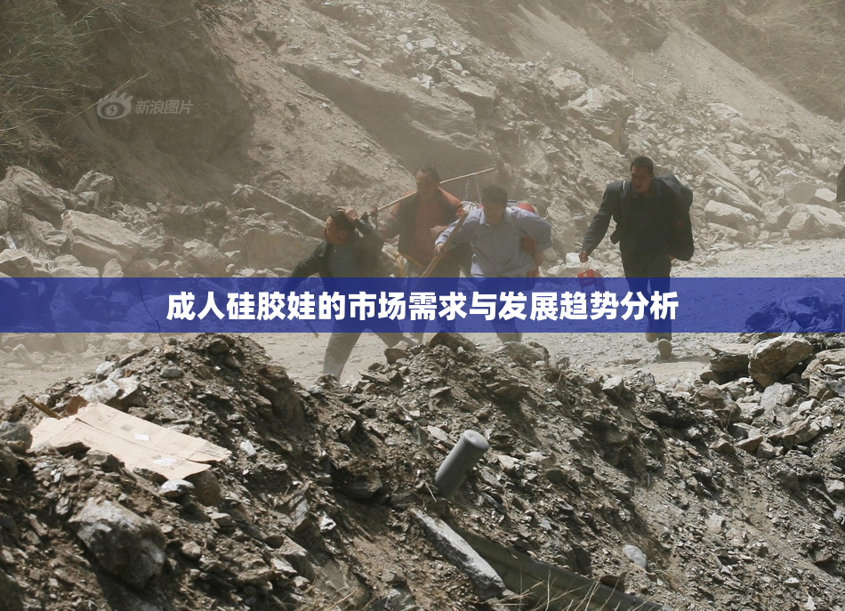 成人硅胶娃的市场需求与发展趋势分析