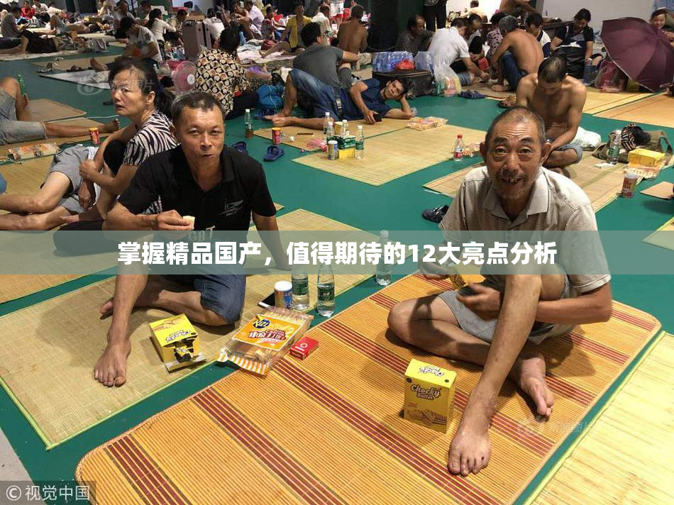 掌握精品国产，值得期待的12大亮点分析