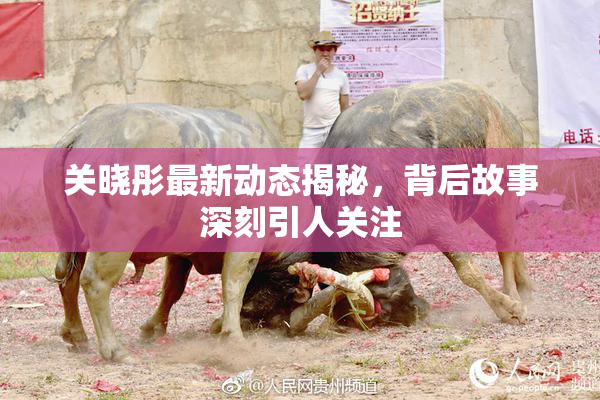 关晓彤最新动态揭秘，背后故事深刻引人关注