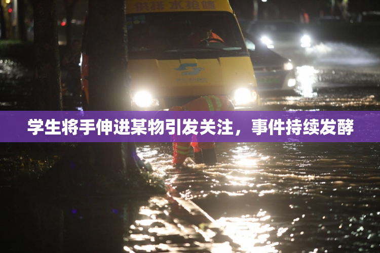 学生将手伸进某物引发关注，事件持续发酵