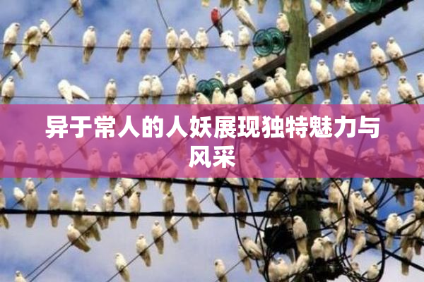 异于常人的人妖展现独特魅力与风采