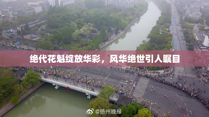 绝代花魁绽放华彩，风华绝世引人瞩目