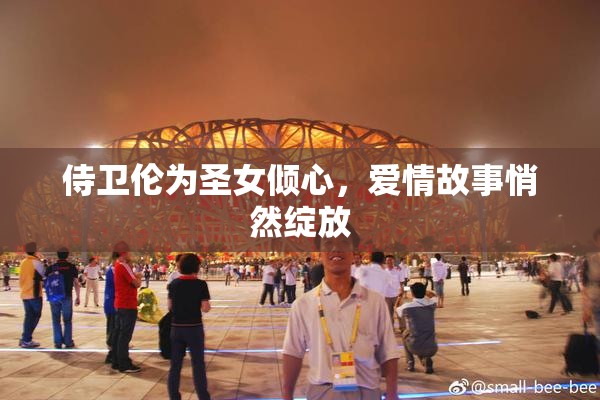 侍卫伦为圣女倾心，爱情故事悄然绽放